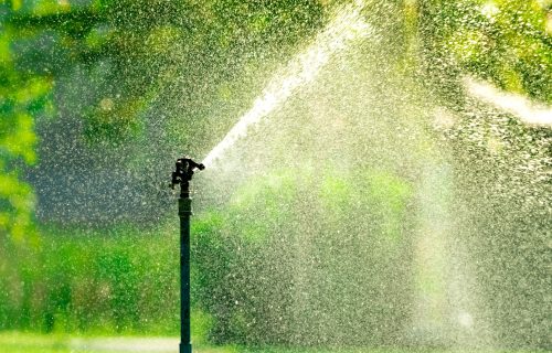 Automatic lawn sprinkler watering green grass. Sprinkler with au Automatic lawn sprinkler watering green grass. Sprinkler with automatic system. Garden irrigation system watering lawn. Water saving or water conservation from sprinkler system with adjustable head.